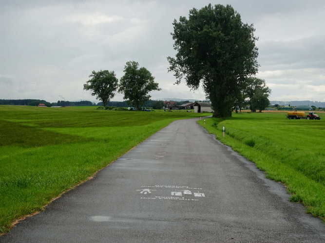 ROMANTISCHE_2024-07-22 16-38-11_RX100262